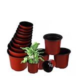 IMGASDCSD Blumentopf, Anzuchtschale, 100 Stück, 15 cm, Kunststoff, für Kinderzimmer, Blumen,...