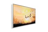 Bild-Infrarotheizung ✓ HD Qualität mit 5 Jahre Herstellergarantie ✓ Tolle Motive ✓...