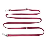 PETCOOZ Hundeleine 3 M Verstellbare Schleppleine mit 2 Karabiner, Führleine Doppelleine für...