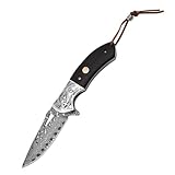 AWUJI Klappmesser einhandmesser Outdoor Messer Ebony Handle Forging Fruit Knife Sharp Straight Knife...