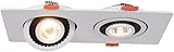 Nordic Einstellbare 360 ​​° Winkel Downlight Doppelkopf Hintergrund Wand Gallenblase Licht...