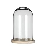 Glockenglas Glaskuppel Glashaube Glas Glocke Glass Dome mit Boden, Ø 14 cm, Höhe: 21 cm mit...