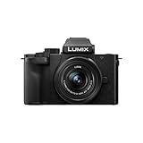 Panasonic Lumix DC-G100DKEGK Micro Four Thirds spiegellose Kamera mit Lumix G Vario 12-32 mm...