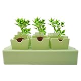 Generisch Anzuchtschalen - Mini Gewächshaus Anzucht Set - Wiederverwendbares Gewächshauszubehör...