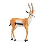 schleich 14861 Thomson Gazelle, für Kinder ab 3+ Jahren, WILD LIFE - Spielfigur