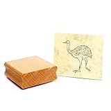 Dekolando Motivstempel Nandu Stempelabdruck - Vogel Stempel Holzstempel stempeln 48 x 38 mm