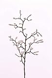 artplants.de Künstlicher Magnolien Zweig Kotori, 40 Kätzchen, weiß - braun, 75cm - Kunstzweig -...