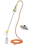 GLORIA Thermoflamm BIO Professional PLUS SET - Gas Abflammgerät | Leistungsstark für große...