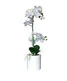 Künstliche Orchidee mit Vase, weiß, Phalaenopsis-Seide, Blumenarrangement, 48,3 cm hoch, Weiß