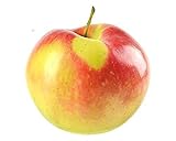 Malus Domestica 'Elstar' Apfelbaum Halbstamm 100-120 cm - Topfgewachsener Apfelbaum für Garten &...