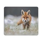 YXDVPALNE Süßer Fuchs Druck, Mauspad, rutschfeste Gummiunterseite, wasserdichtes Mauspad, 25 x 30...