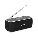 TechniSat VIOLA BT 1 - tragbarer Bluetooth-Lautsprecher mit DAB+ Digitalradio (UKW, DAB, Uhr,...