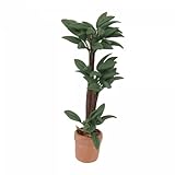 Fcnjsao 1/12 Miniaturpuppenhäuser Pflanze Brazilwood Money Treted Plant Bonais Modell Für...