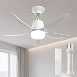 Airwit 71cm Deckenventilator mit Beleuchtung und E27 Fassung, 50W Leise Deckenventilator mit Licht...