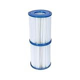 Bestway Flowclear Filterkartuschen Gr. II, Doppelpack, Blau, 10.6 x 13.6 cm (4.2 in. x 5.4 in.),...