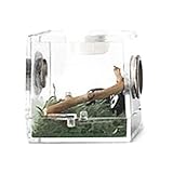 Acryl-Reptilgehege: transparenter Lebensraum für Kleintiere, tragbarer Insektenzuchtbehälter mit...