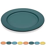 Kyraton 25cm Teller Set 8er, Abbaubar Gesunde Unzerbrechliches Plastikteller Kuchenteller für...
