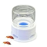 Futterschale für Ameisen, Wasserstation für Bienen, transparent, multifunktional, für Bienen,...