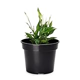 Garronda Blumentopf Kunststoff Pflanztopf rund Kräutertopf Anzuchttöpfe Blumentopf Schwarz für...