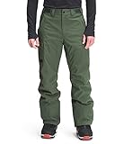 The North Face Men's Freedom Insulated Pant, Thyme, Medium Regular