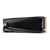 Fcnjsao S11 Lite Laufwerk 1TB für M.2 2280 PCIe Gen3 NVMe 1.3 interne SSD 2000MB/s...