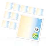 Xtend EcoLight 10x LED Panel 62x62cm 3CCT 3000K 4000K 6000K Rasterleuchte 4000lm 25W Deckenleuchte...
