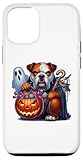 Hülle für iPhone 14 Halloween Bulldogge Kostüm Geist Tier Boo Gruselig