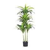 Künstlicher Baum, Simulation, Reicher Baum, Simulation, Bonsai, Wohnzimmer, Schlafzimmer,...