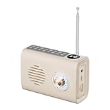 Widybord FM-Radio Mini Tragbarer FM-Radio-Bluetooth-Lautsprecher mit Buntem Licht, Unterstützt...