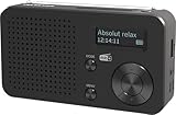 TELESTAR TOP 100 – Mobiles DAB+/UKW Radio (austauschbarer Akku, bis zu 15 Std. Spielzeit, kurzes...