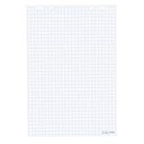 Herlitz 10834141 Flipchartblock, 68x99cm (kariert/gelocht), 5 Blöcke (20 Blatt je Block) (1,...