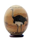 Afrikanischer Strauß Afrika Karte thematisch Decoupage Straußenei