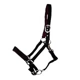 JF-Reitsport Gepolstertes Nylonhalfter, Verstellbar an Nase und Genick, mit Karabiner, Verschiedene...
