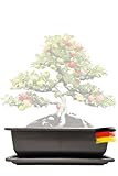 Genki-Bonsai Bonsaischale aus Kunststoff (34cm x 26cm x 9cm) - Rechteckiger Blumenkübel für Bonsai...