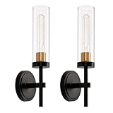 DLGLOLIN 2 Stück Wandleuchten aus transparentem Glas, Wandleuchte, für den Innenbereich, E27,...