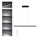 Paulmann LED Pendelleuchte Lesko RGBW+ dimmbar 2300lm / 370lm 19W / 3W schwarz matt 784777