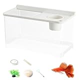 Kleines Kampffischbecken Mit 3 Farblichtern - Schreibtisch-Aquarium - Aquarium Für Hydrokultur...