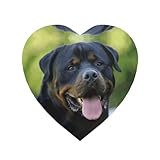 Kühlschrankmagnete aus Metall, Rottweiler-Tapete, Landurlaub, Souvenir, Zuhause, Küche,...