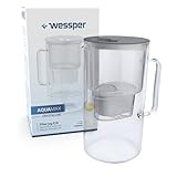 Wessper Wasserfilterkanne aus Glas 2.5 L Kompatibel mit Brita-Wasserfilterkartuschen, Inklusive 1...