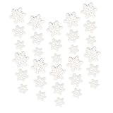 Gogogmee 50 Stück Mini Resin Schneeflocken Dekorationen für DIY Weihnachtsprojekte Weiße...