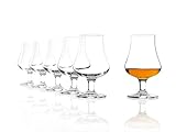 Stölzle Lausitz Nosing Glas 194 ml I Whisky Gläser 6er Set I Bleifreies Kristallglas I...