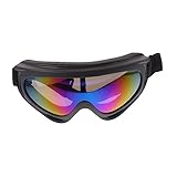 GARVALON Winddichte Outdoor schutzbrille für Radfahrer und Skifahrer Leichtes Langlebiges Design...