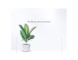 reflecto Spuckwand | 100cm oder 73cm breit | Thekenaufsatz mit Durchreiche | Nies- und Spuckschutz...