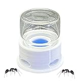 Duroecsain Spender für Ameisen, Wasserbrunnen für Bienen | Getränkespender, transparent,...