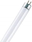 Osram Leuchtstoffröhren, Glas, 8 W, Kaltweiß 6500k, 1 Stück (1er Pack)