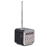 Diyeeni Mini Lautsprecher, Tragbare Soundstation MP3 Player mit FM Radio, 3,5mm Audio Buchse, 5 Std....