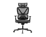 MAXMOUNT SpineX V2 Bürostuhl Ergonomisch, Premium-Qualität Schreibtischstuhl mit Verstellbarer...