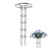 shpuuyy Outdoor Rankgitter Für Kletterpflanzen - Vertikale Metall-Blumenstütze | Metall Spalier...