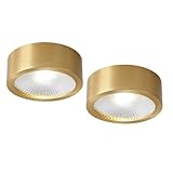 LYOUAE Moderne Deckenleuchte Deckenlampe 2PCS LED-Deckenstrahler Kupfer-Oberflächenmontage...