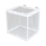 Fischzuchtbox – Selbstgebaute Aquarienaufzucht, Brutschutznetz | Schwimmender kompakter...